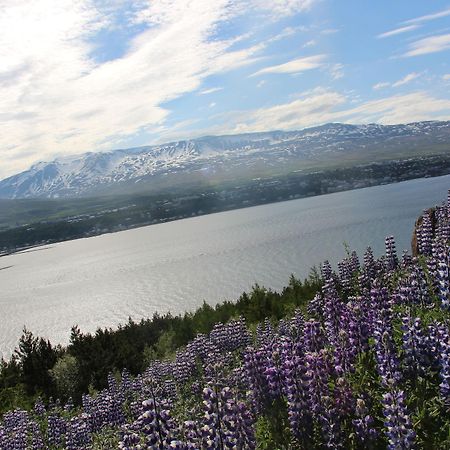 Viking Cottages And Apartments Akureyri Esterno foto