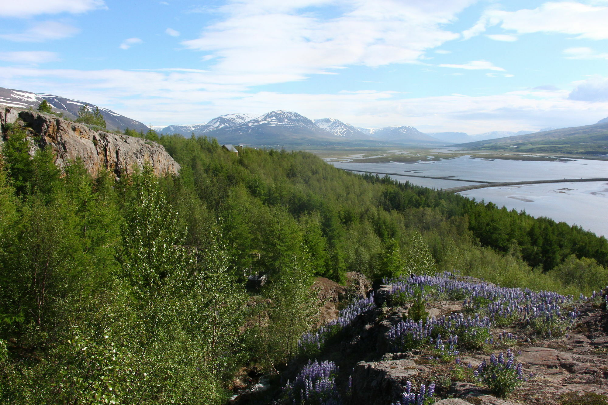 Viking Cottages And Apartments Akureyri Esterno foto