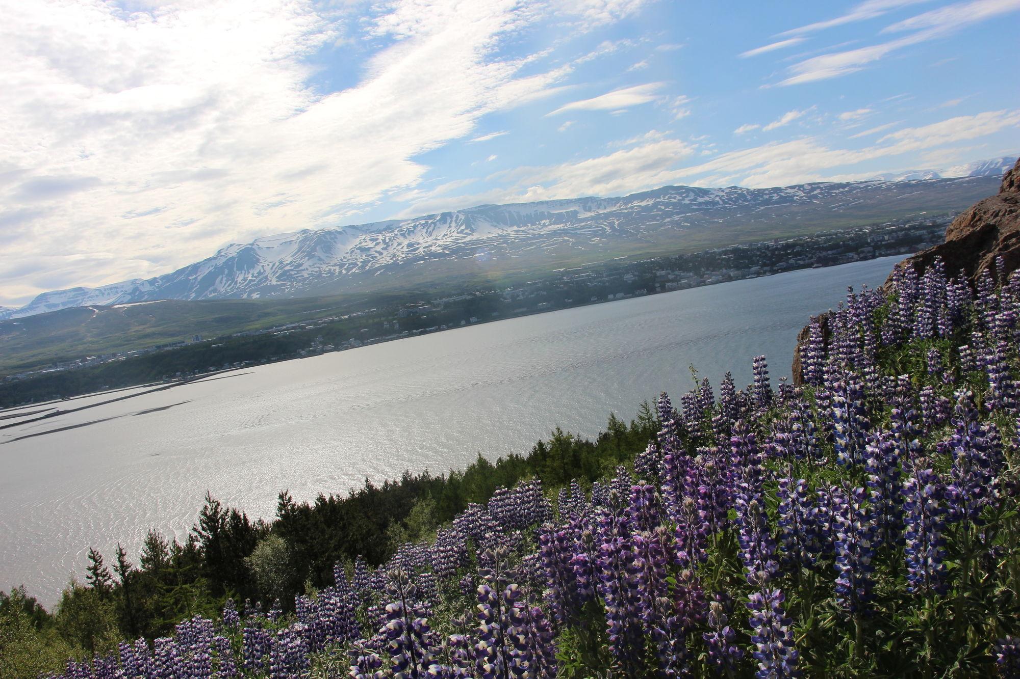 Viking Cottages And Apartments Akureyri Esterno foto